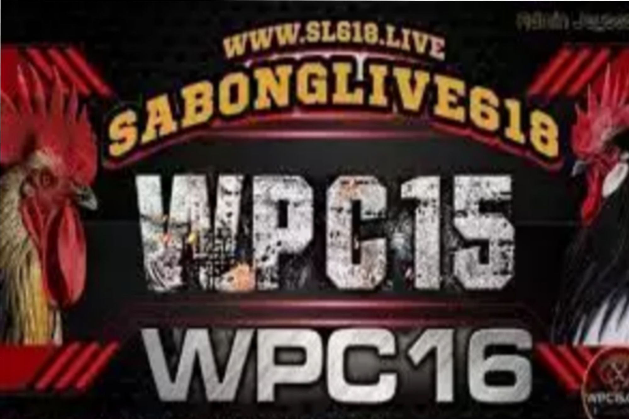 What You Need to Know About WPC15