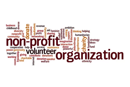 Living Your Values: Why a Non-Profit Job Could Be the Best Career Move